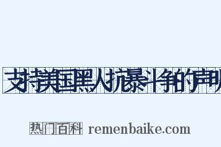 支持美国黑人抗暴斗争的声明是什么意思的图片